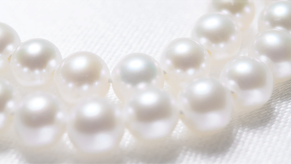 真珠の謎！？